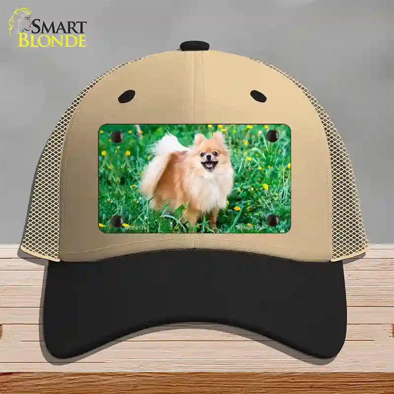 Pomeranian Dog Novelty License Plate Hat Mesh / Khaki|Black