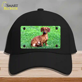 Dachshund Dog Novelty License Plate Hat Cotton / Black