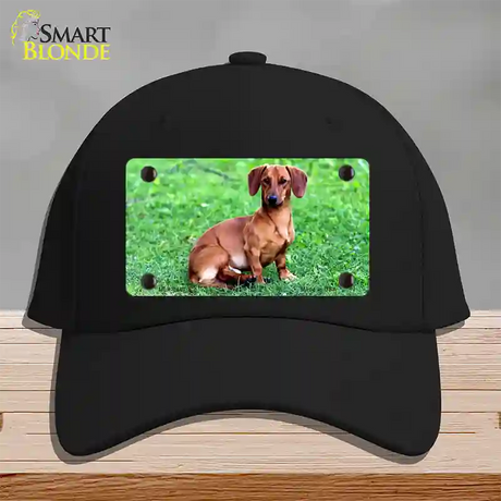 Dachshund Dog Novelty License Plate Hat Cotton / Black