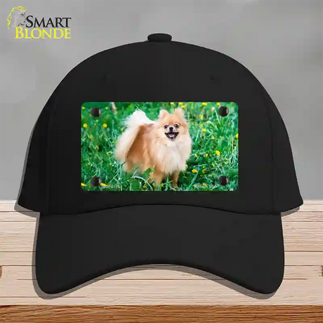 Pomeranian Dog Novelty License Plate Hat Cotton / Black