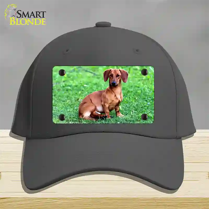 Dachshund Dog Novelty License Plate Hat Cotton / Charcoal