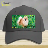 Pomeranian Dog Novelty License Plate Hat Cotton / Charcoal