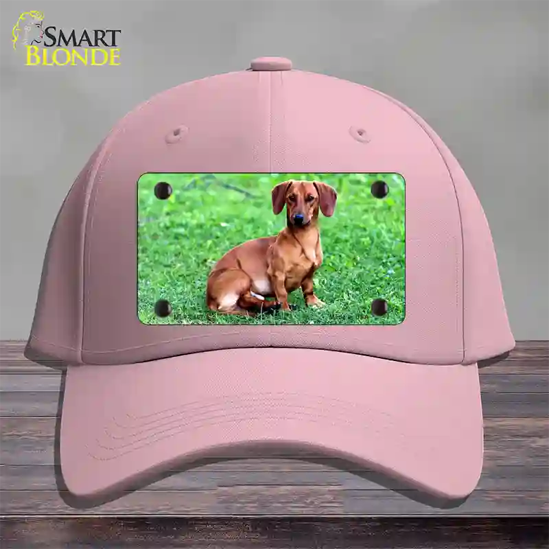 Dachshund Dog Novelty License Plate Hat Cotton / Pink