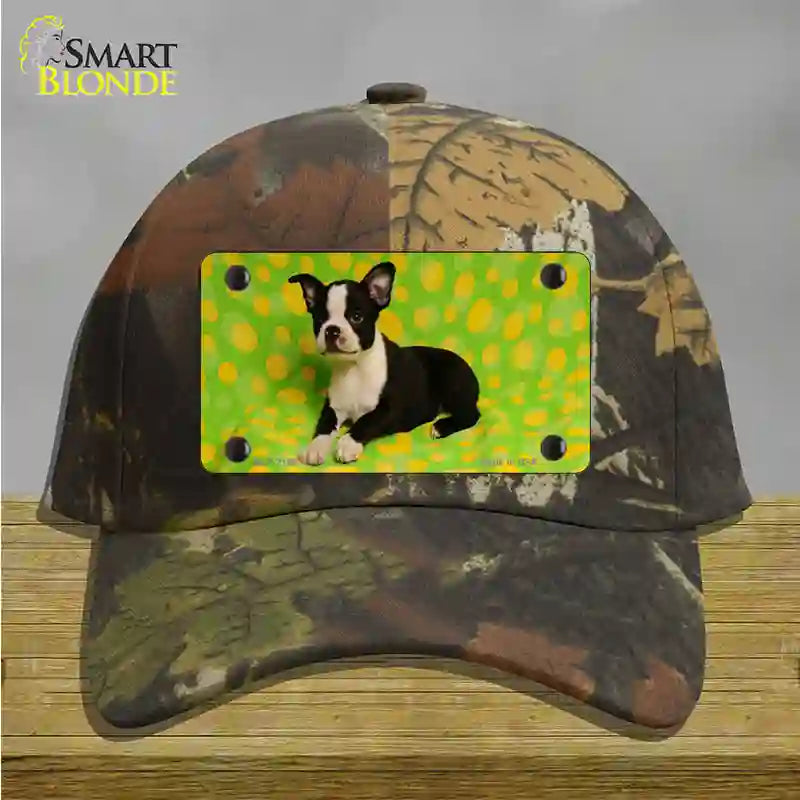 Boston Terrier Dog Novelty License Plate Hat Cotton / Camoflauge