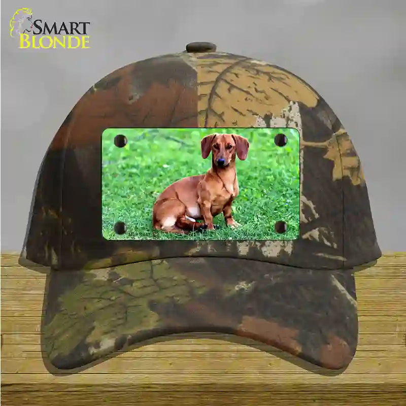 Dachshund Dog Novelty License Plate Hat Cotton / Camoflauge