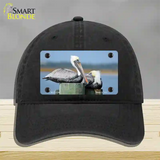 Pelican Two On Pier Novelty License Plate Hat Unconstructed Cotton / Black