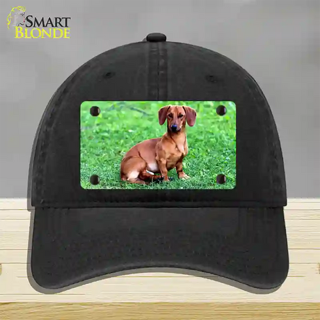 Dachshund Dog Novelty License Plate Hat Unconstructed Cotton / Black