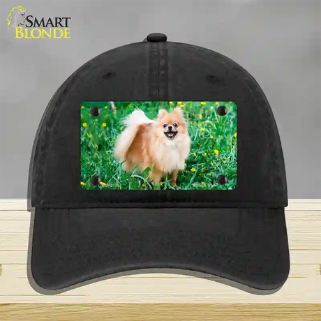 Pomeranian Dog Novelty License Plate Hat Unconstructed Cotton / Black