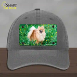 Pomeranian Dog Novelty License Plate Hat Unconstructed Cotton / Charcoal