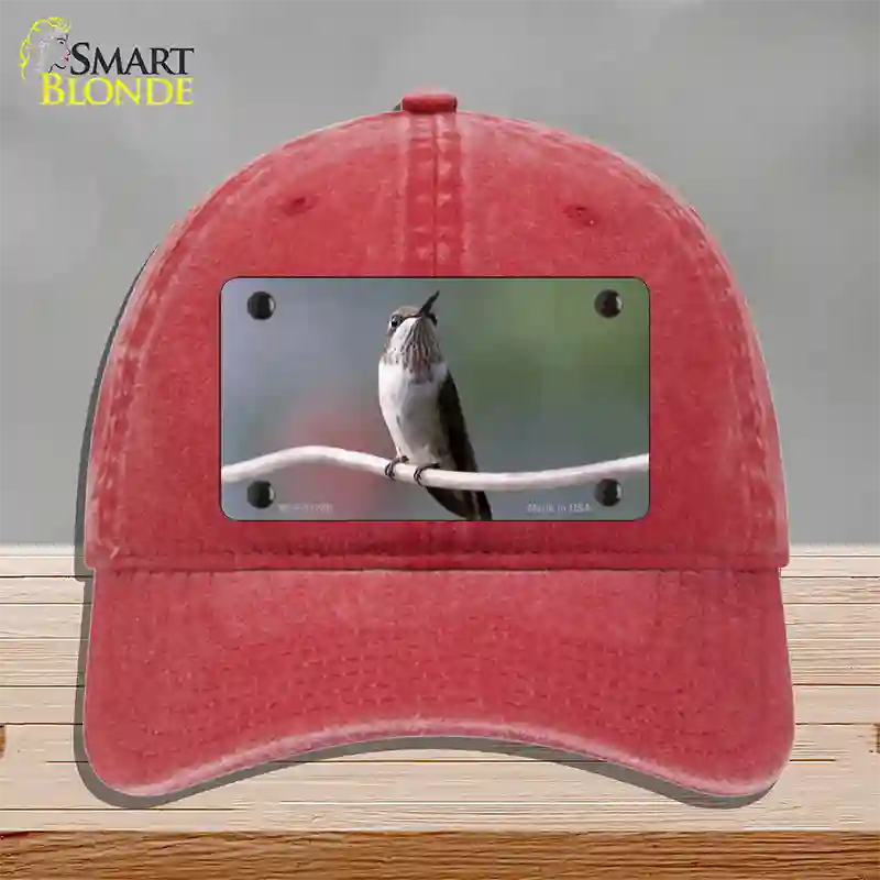 Hummingbird Perched On Branch Novelty License Plate Hat Unconstructed Cotton / Red