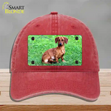 Dachshund Dog Novelty License Plate Hat Unconstructed Cotton / Red