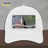 Hummingbird Perched On Branch Novelty License Plate Hat Unconstructed Cotton / White