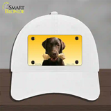 Chocolate Labrador Retriever Dog Novelty License Plate Hat Unconstructed Cotton / White