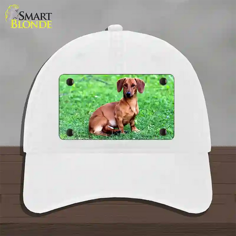 Dachshund Dog Novelty License Plate Hat Unconstructed Cotton / White