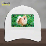 Pomeranian Dog Novelty License Plate Hat Unconstructed Cotton / White