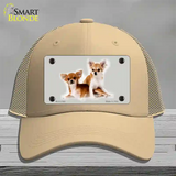 Chihuahua Dog Novelty License Plate Hat Mesh / Khaki