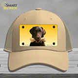 Chocolate Labrador Retriever Dog Novelty License Plate Hat Mesh / Khaki