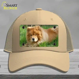 Chow Chow Dog Novelty License Plate Hat Mesh / Khaki