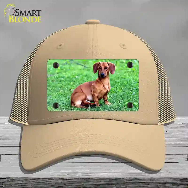 Dachshund Dog Novelty License Plate Hat Mesh / Khaki