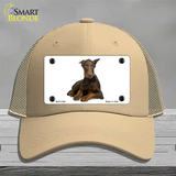 Doberman Pinscher Dog Novelty License Plate Hat Mesh / Khaki