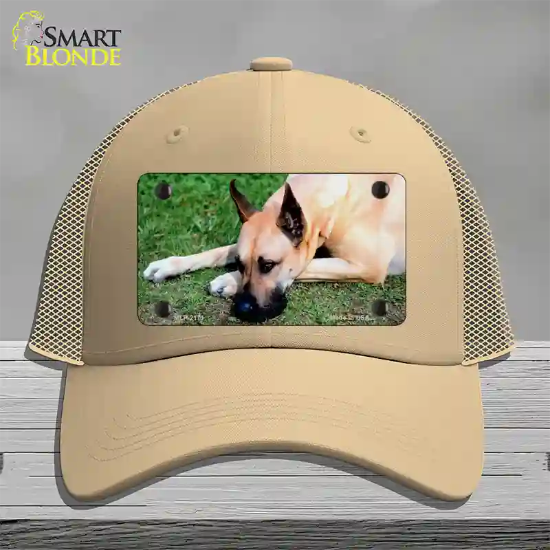 Great Dane Dog Novelty License Plate Hat Mesh / Khaki