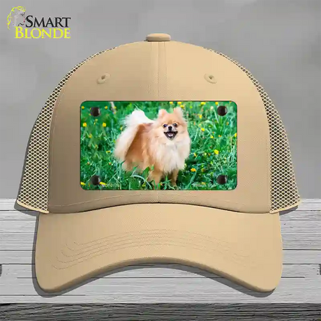 Pomeranian Dog Novelty License Plate Hat Mesh / Khaki