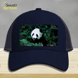 Panda Bear Novelty License Plate Hat Mesh / Navy