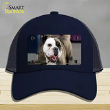 Bulldog Dog Novelty License Plate Hat Mesh / Navy