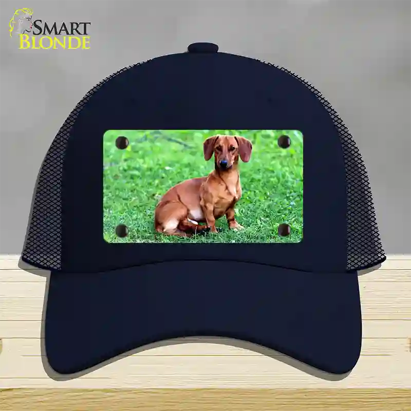 Dachshund Dog Novelty License Plate Hat Mesh / Navy