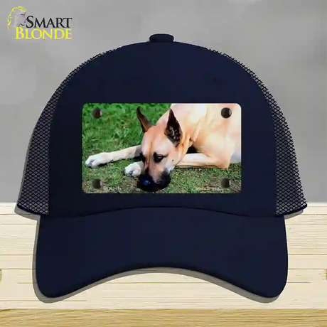 Great Dane Dog Novelty License Plate Hat Mesh / Navy