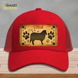 Collie Novelty License Plate Hat Mesh / Red