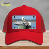 Pelican Two On Pier Novelty License Plate Hat Mesh / Red