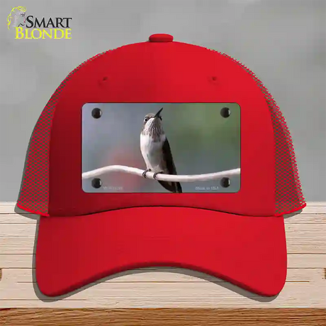 Hummingbird Perched On Branch Novelty License Plate Hat Mesh / Red