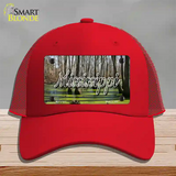 Mississippi Swamp State Novelty License Plate Hat Mesh / Red