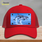 Dolphins Novelty License Plate Hat Mesh / Red