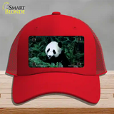 Panda Bear Novelty License Plate Hat Mesh / Red