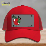 Teacher Apple Offset Novelty License Plate Hat Mesh / Red