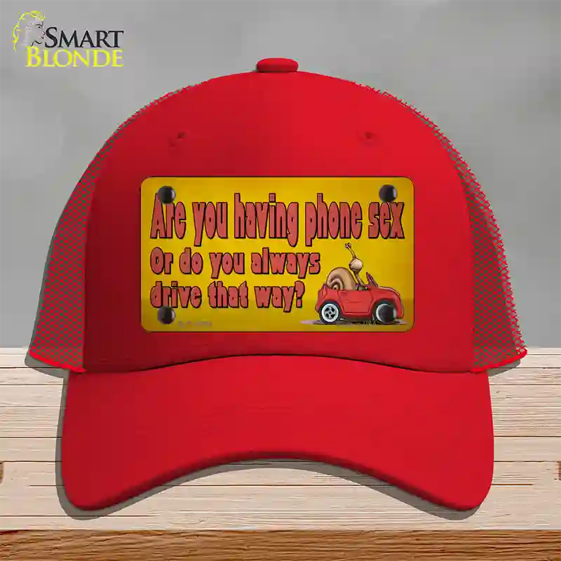 Are You Having Phone Sex Novelty License Plate Hat Tag Mesh / Red