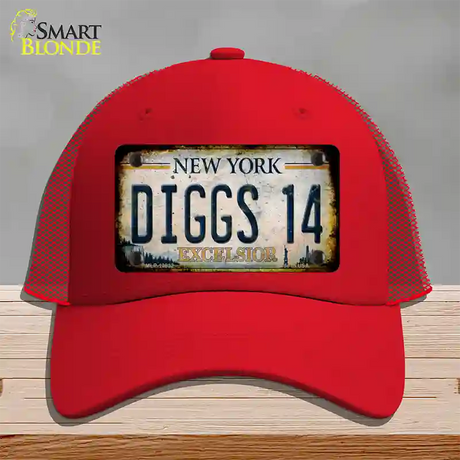 Diggs 14 Excelsior New York Rusty Novelty License Plate Hat Tag Mesh / Red