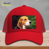 Beagle Dog Novelty License Plate Hat Mesh / Red