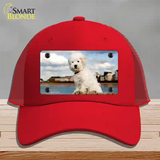 Bichon Frise Dog Novelty License Plate Hat Mesh / Red