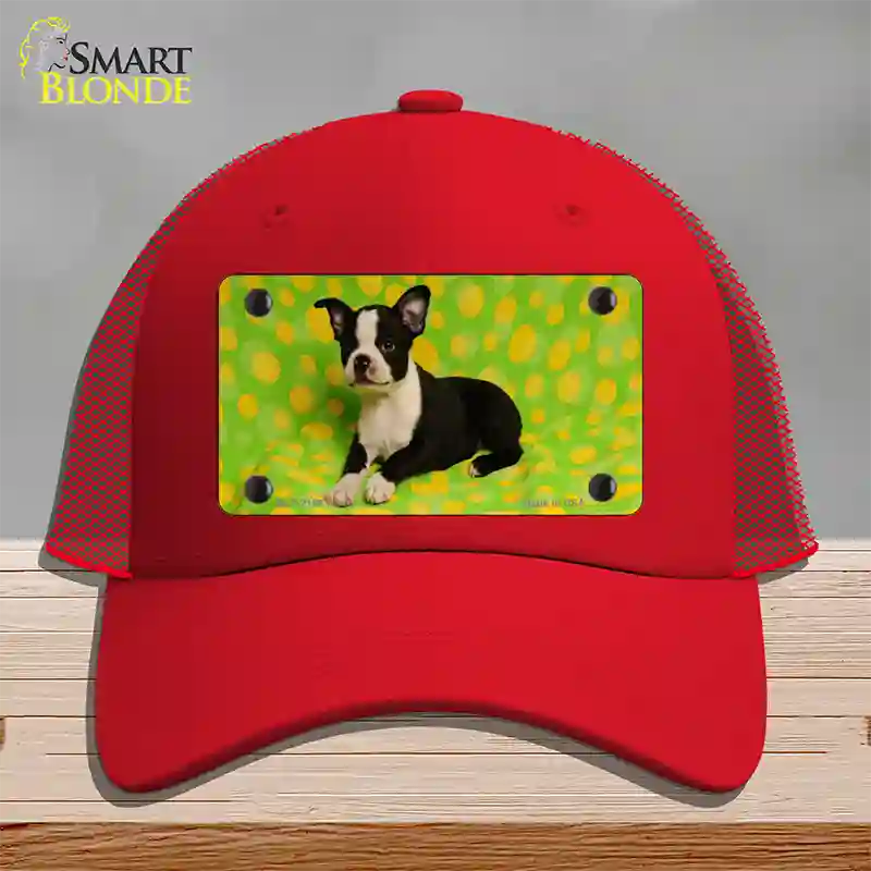 Boston Terrier Dog Novelty License Plate Hat Mesh / Red