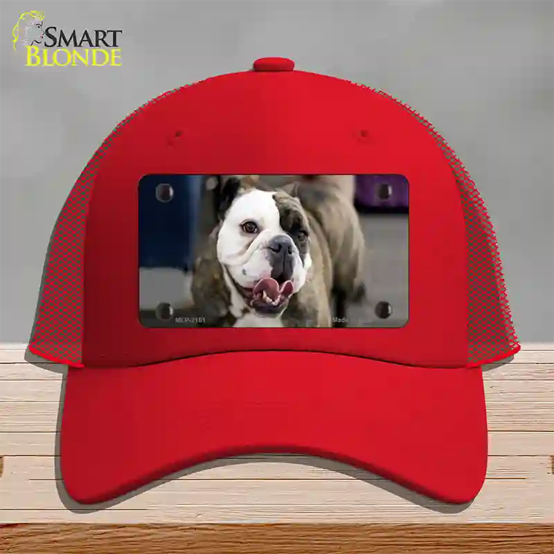 Bulldog Dog Novelty License Plate Hat Mesh / Red