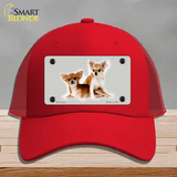 Chihuahua Dog Novelty License Plate Hat Mesh / Red