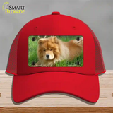 Chow Chow Dog Novelty License Plate Hat Mesh / Red