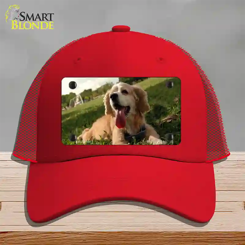 Cocker Spaniel Dog Novelty License Plate Hat Mesh / Red