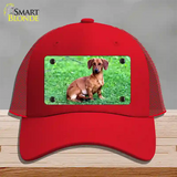 Dachshund Dog Novelty License Plate Hat Mesh / Red