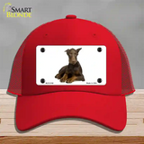 Doberman Pinscher Dog Novelty License Plate Hat Mesh / Red