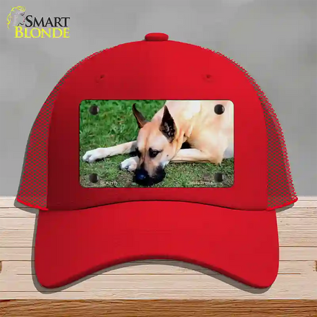 Great Dane Dog Novelty License Plate Hat Mesh / Red