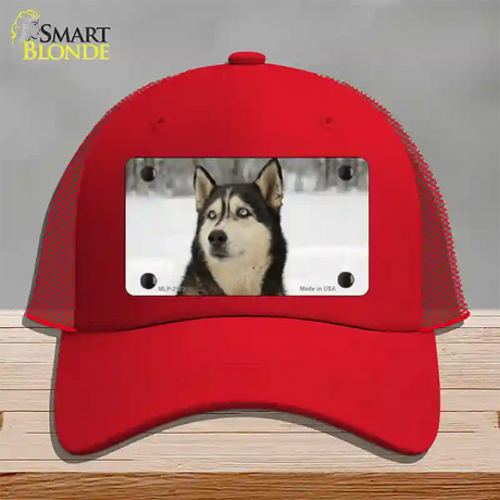 Husky Dog Novelty License Plate Hat Mesh / Red